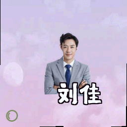 刘佳